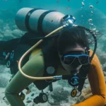 travelnews-elementor-7